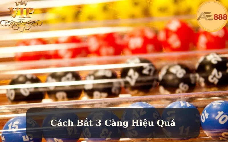 Cách Bắt 3 Càng Hiệu Quả