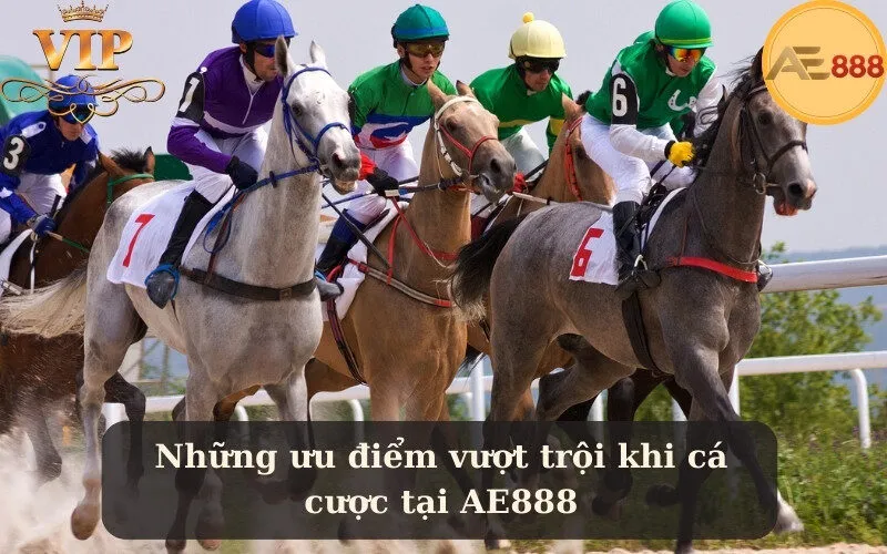 Những ưu điểm vượt trội khi cá cược tại AE888