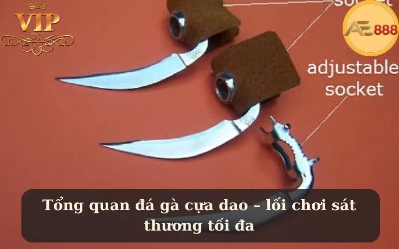 Tổng quan đá gà cựa dao – lối chơi sát thương tối đa